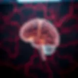Visual representation of brain aneurysm statistics