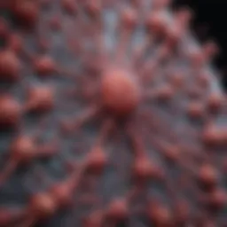 Microscopic view of lymphovascular space invasion in cancer tissue