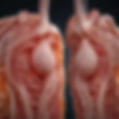 Innovative Treatment Options for Managing IgA Nephropathy Treatment Strategies for IgA Nephropathy