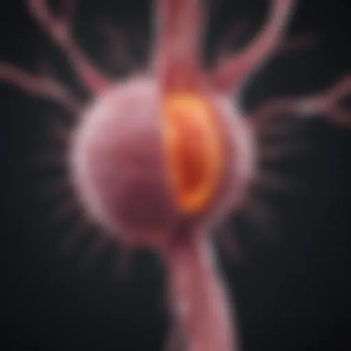 Diagram illustrating pathways of breast cancer metastasis to distant organs