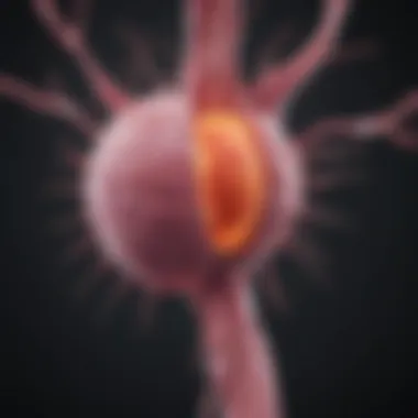 Pathways of Breast Cancer Metastasis Diagram illustrating pathways of breast cancer metastasis to distant organs