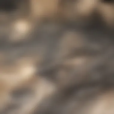 Close-up of raw wood materials ready for pellet production