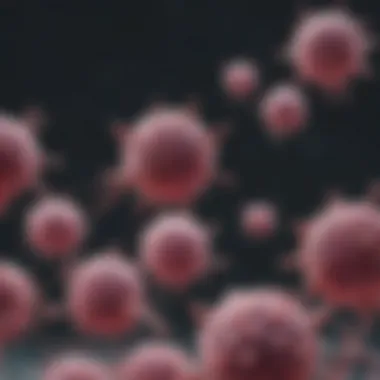 Mechanism of Action of Monoclonal Antibodies Diagram illustrating the mechanism of action of monoclonal antibodies in targeting cancer cells