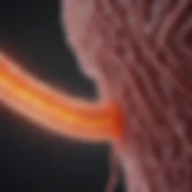 A comprehensive diagram summarizing recent advancements in ulcerative colitis research.