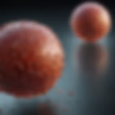 Comparison of cell viability using MTS assay versus other assays