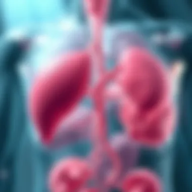Pathophysiology of Myelofibrosis Diagram illustrating the pathophysiology of myelofibrosis.