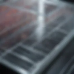 A detailed view of gel electrophoresis apparatus highlighting the separation of DNA fragments.