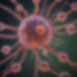 Illustration depicting the lymphatic system highlighting cancerous cells