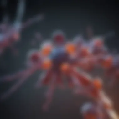 Dynamics of Opioid Receptor Interaction Opioid receptor interaction