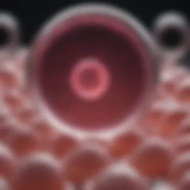 Visual representation of ovulation and fertility correlation