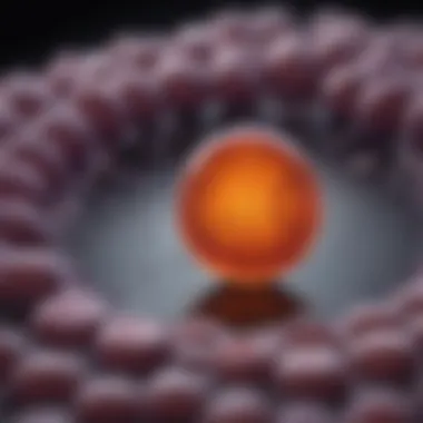 Graph showcasing the latest advancements in treatment options for pancreatic cancer
