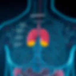 Detailed diagram illustrating lymphoma classification