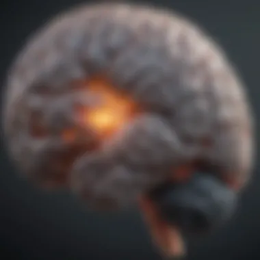 Brain Regions Associated with Focus and Memory Illustration of the brain with highlighted regions involved in focus and memory