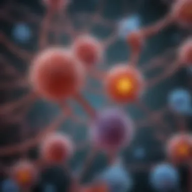 Schematic representation of PTHrP antibody interactions in biological systems