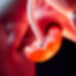 Salivary Gland Carcinoma: Insights and Innovations Introduction