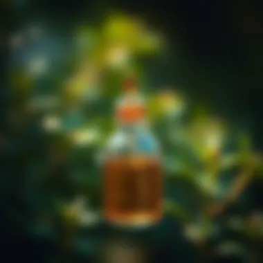 Notable Source of Essential Oil: An In-Depth Exploration