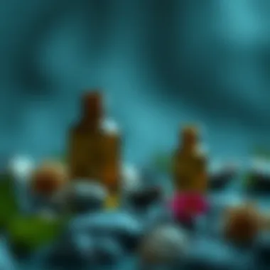 Source of Essential Oil: An In-Depth Exploration Summary