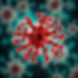 Stat1 Inhibitors: Mechanisms, Applications, and Future Directions Introduction
