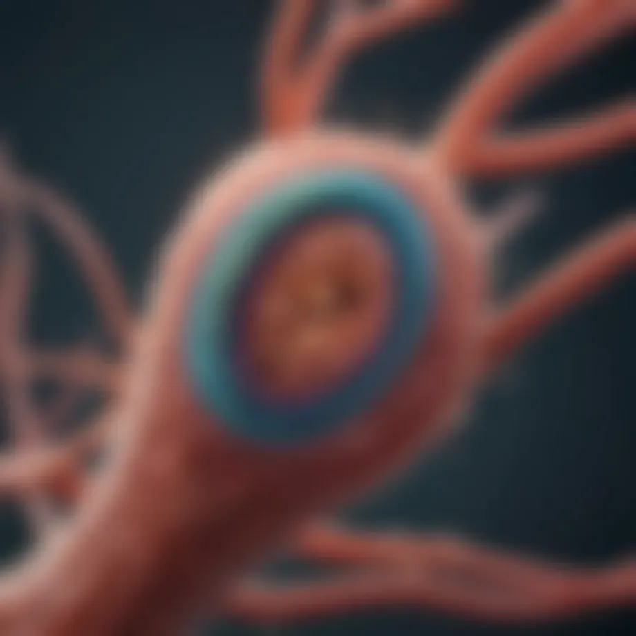 Microscopic view of Helicobacter pylori bacteria