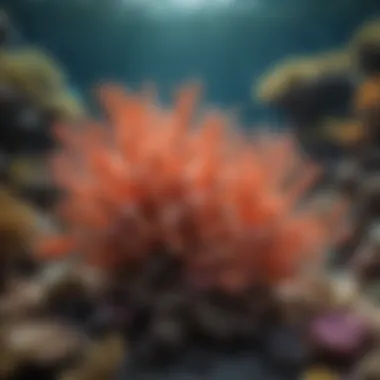 The Importance of Coral Reefs in Marine Ecosystems A vibrant coral reef teeming with diverse marine life