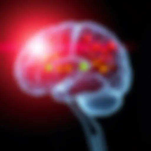 Neuroimaging of the brain showing areas affected by SRSE