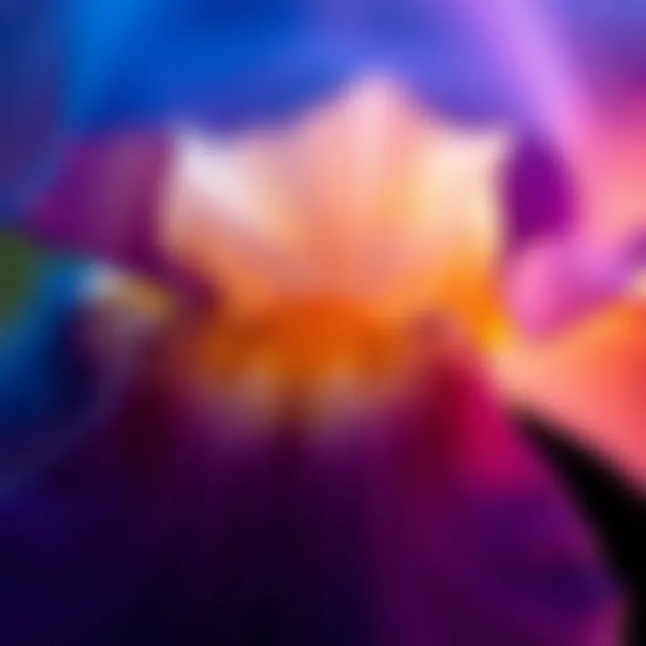Notable The Complex Spectrum: Understanding the Color of the Iris