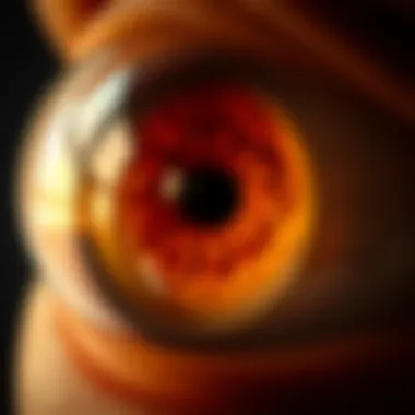 The Complex Structure and Function of the Eye Globe Introduction The Complex Structure and Function of the Eye Globe Introduction