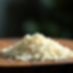 The Complexity of Glycaemic Carbohydrates: An In-Depth Analysis Introduction