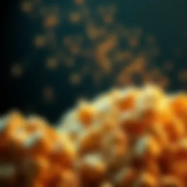 The Complexity of Glycaemic Carbohydrates: An In-Depth Analysis Summary