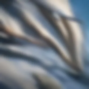 A close-up of a wind turbine blade against a clear blue sky