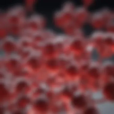 In-depth Analysis of Hemoglobin Structure Detailed structure of hemoglobin molecule