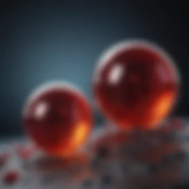 Hemoglobin and Carbon Dioxide Interaction Hemoglobin interaction with carbon dioxide