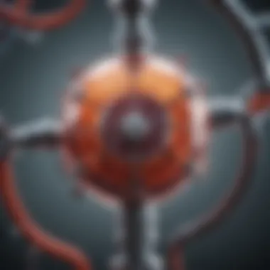 Mechanism of Oxygen Transport by Hemoglobin Oxygen transport mechanism illustrated