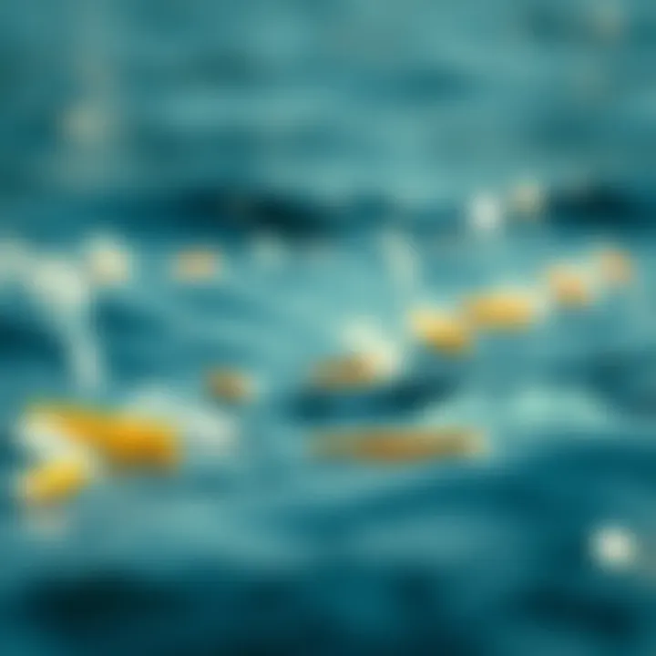 Notable The Impacts of Plastic Pollution: Insights from National Geographic