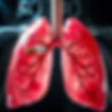 The biological impact of tobacco on the lungs