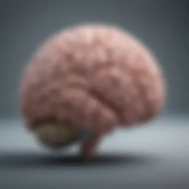A brain illustration highlighting stress areas related to sleep