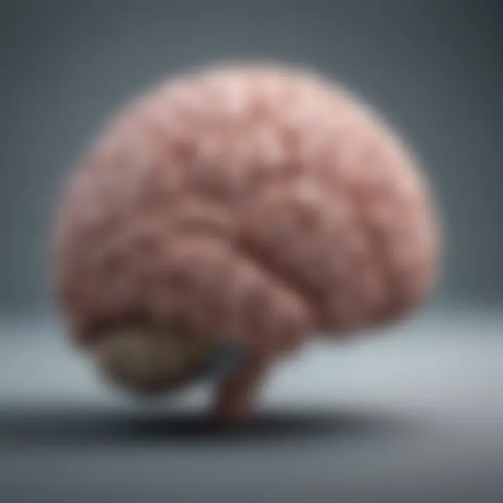 A brain illustration highlighting stress areas related to sleep