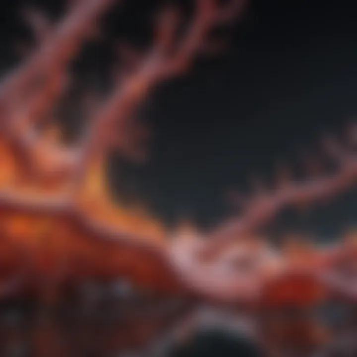 Biochemical pathways linking ketosis and inflammatory responses
