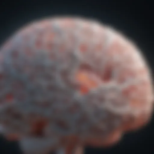 A brain with neural connections highlighted, symbolizing cognitive function during perimenopause