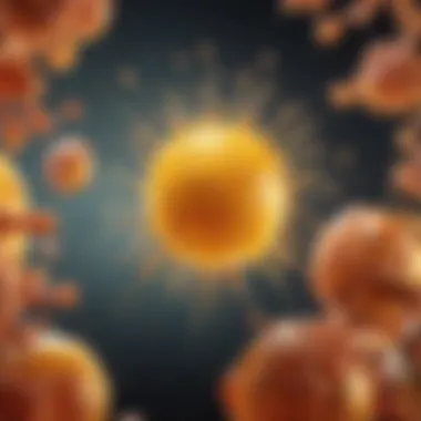 Vitamin D and Immune Function Diagram illustrating the role of vitamin D in immune function and its effect on various immune cells