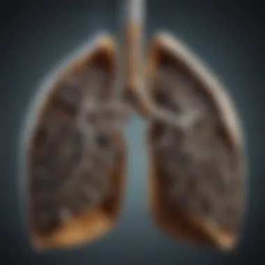 Chart depicting the impact of socio-economic factors on smoking and lung cancer