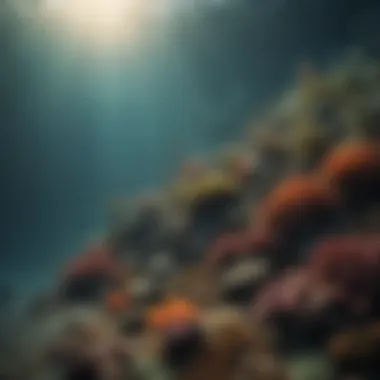 Graph depicting the decline in marine biodiversity due to acidification