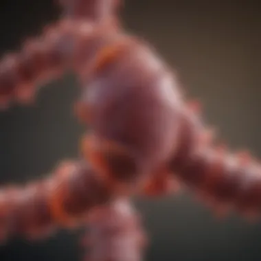 Early Detection of Colorectal Cancer via ctDNA Visualization of ctDNA's role in early cancer detection