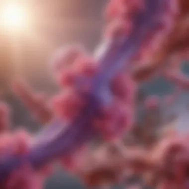 Infographic summarizing the subtypes of estrogen receptors in cancer research