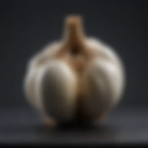 Garlic cloves with scientific background