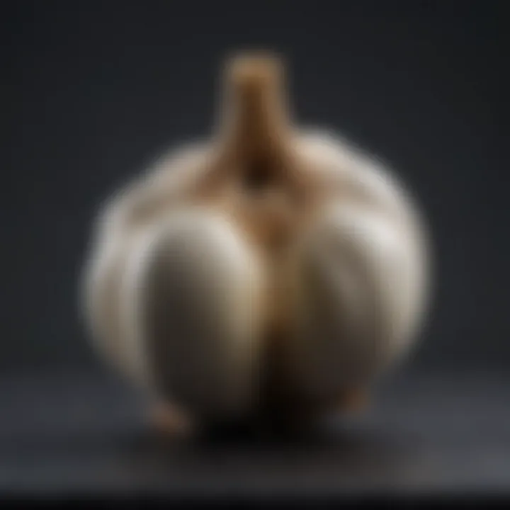 Garlic cloves with scientific background