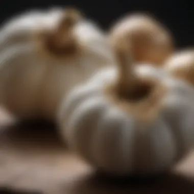 Research Findings on Garlic's Benefits Research findings on garlic's health benefits