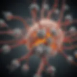 Illustration of serotonin molecules interacting with brain receptors related to sleep regulation