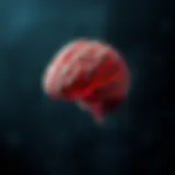 Illustration of the amygdala's role in emotional processing