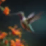 A vibrant hummingbird feeding on nectar from a flower